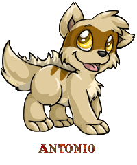 Antonio 058
